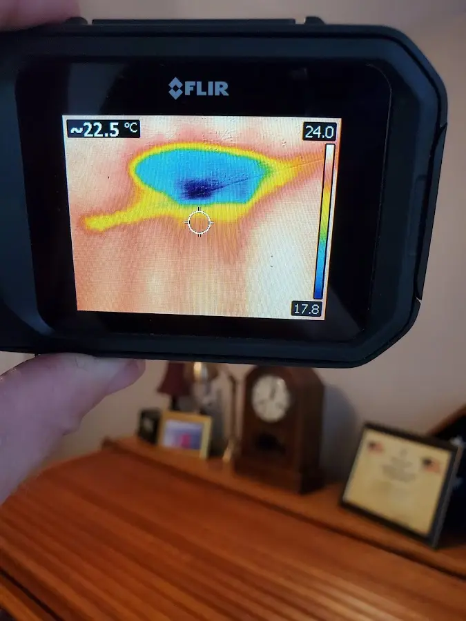 Thermal imaging inspection for water damage in Richmond
